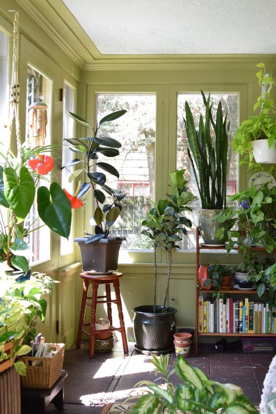 A house with plants around the corner will make you feel better and liven up the space a bit more